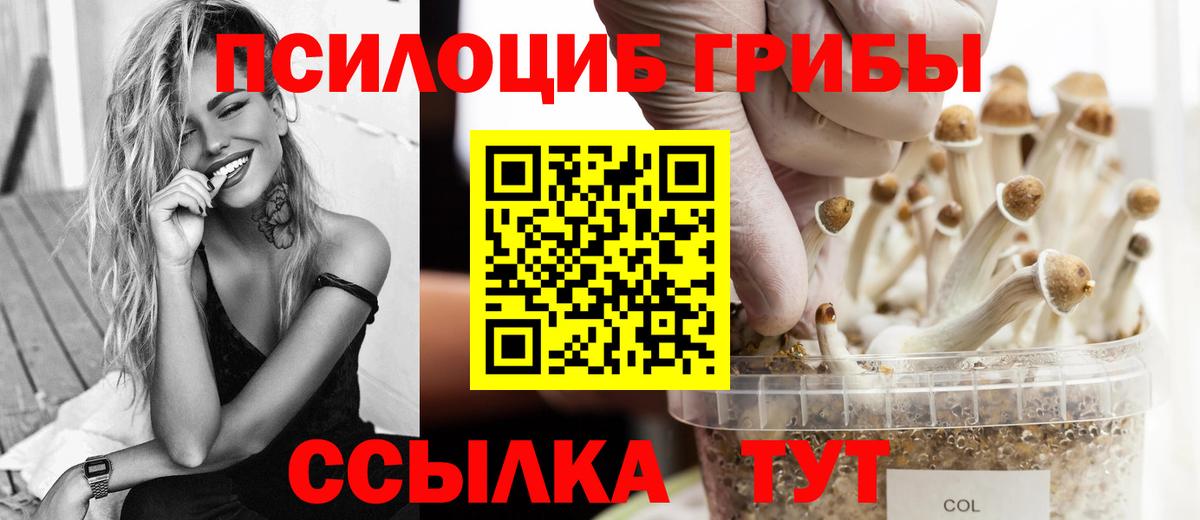 Псилоцибиновые грибы GOLDEN TEACHER  Псилоцибиновые грибы Cubensis  Сорочинск  Вход с VPN 